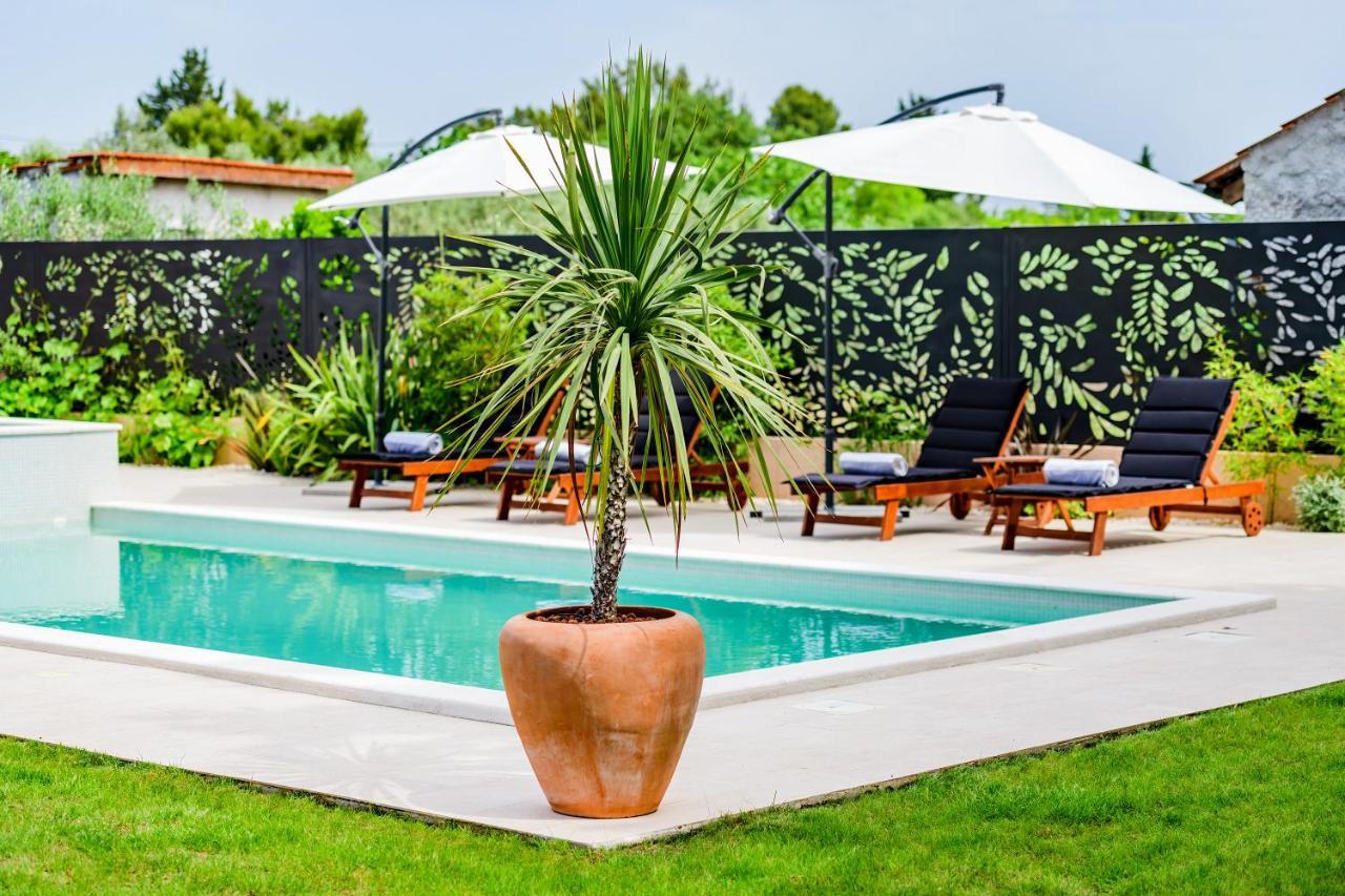 Green Residence Villa Ζαντάρ Εξωτερικό φωτογραφία